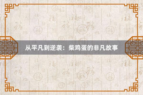 从平凡到逆袭：柴鸡蛋的非凡故事